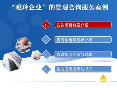 瞪羚企业咨询案例解析 2014年企业管理优化实践